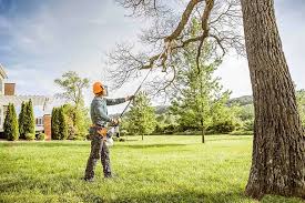 Best Lawn Watering Services  in Silver Grove, KY