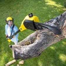 Best Lawn Pest Prevention  in Silver Grove, KY