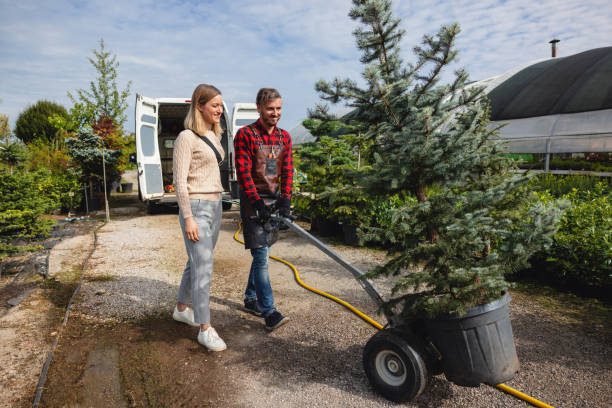Best Soil Testing and Treatment  in Silver Grove, KY